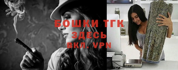 таблы Белокуриха
