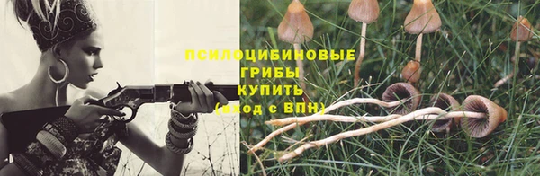apvp Беломорск